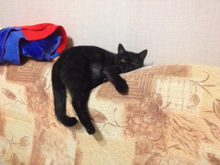 Мы сделали это!