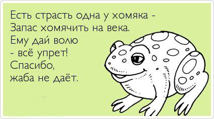 Микстура от хомякоза или Ода жабе)))