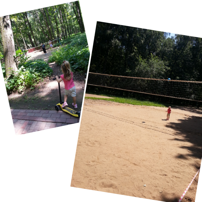 Прогулки недели