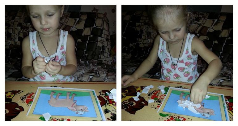 ТН Времена Года. Лето.