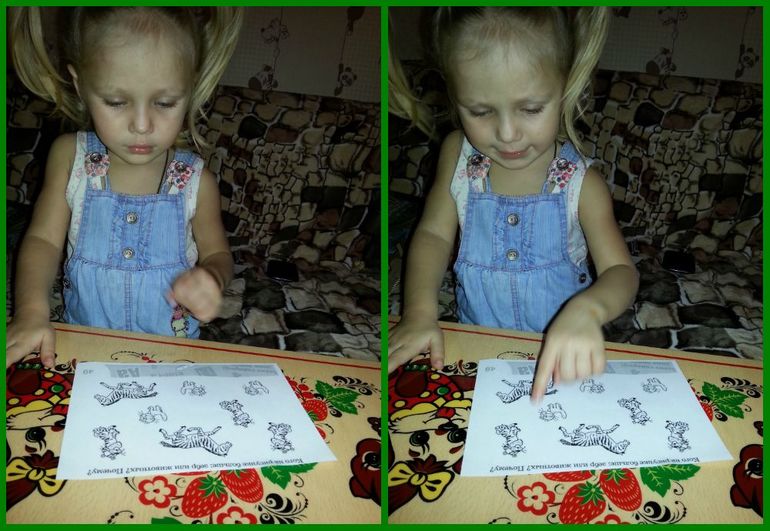 ТН Африка. Экваториальные леса.