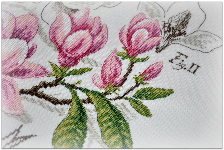 Магнолия, Véronique Enginger