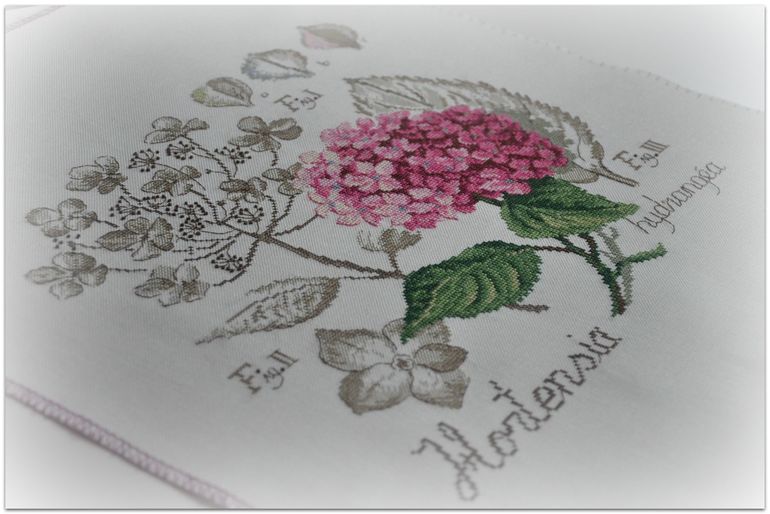 Гортензия, Véronique Enginger