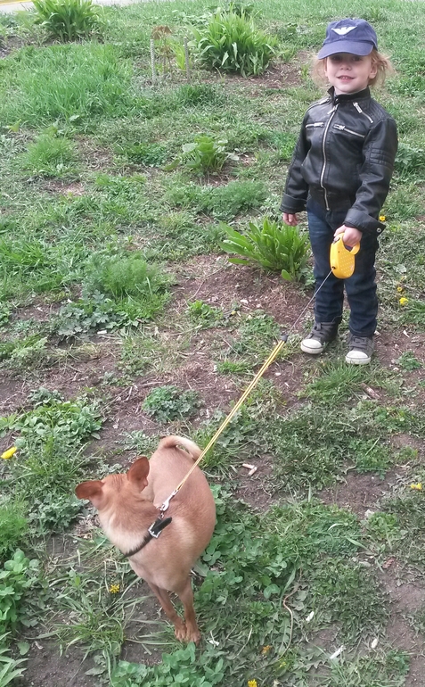 маленький еврейский мальчик и собака