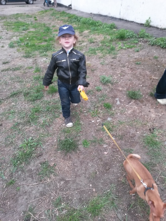 маленький еврейский мальчик и собака