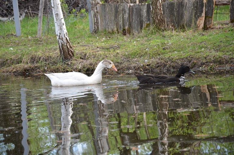 2 - это звучит! :)