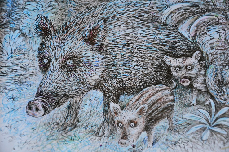 Две очень ночные книги!