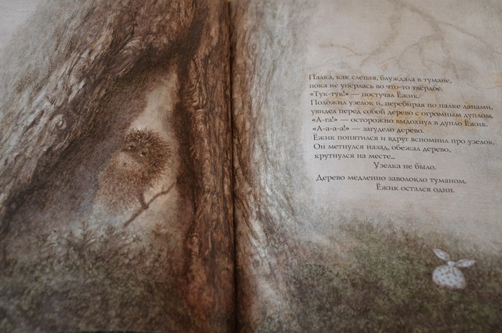 Две очень ночные книги!