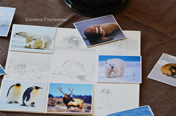 Околозимняя тема и контурное лото