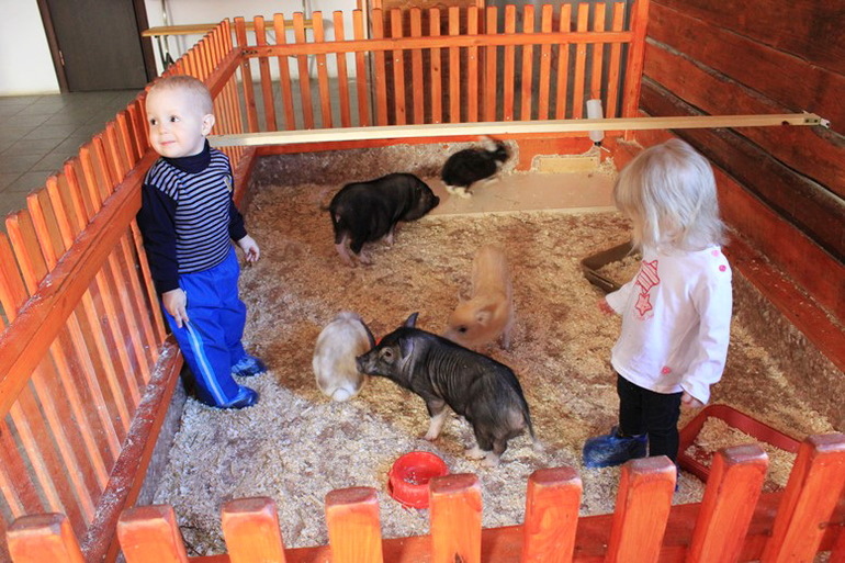 Девчачьи вылазки. Часть первая - трогательная