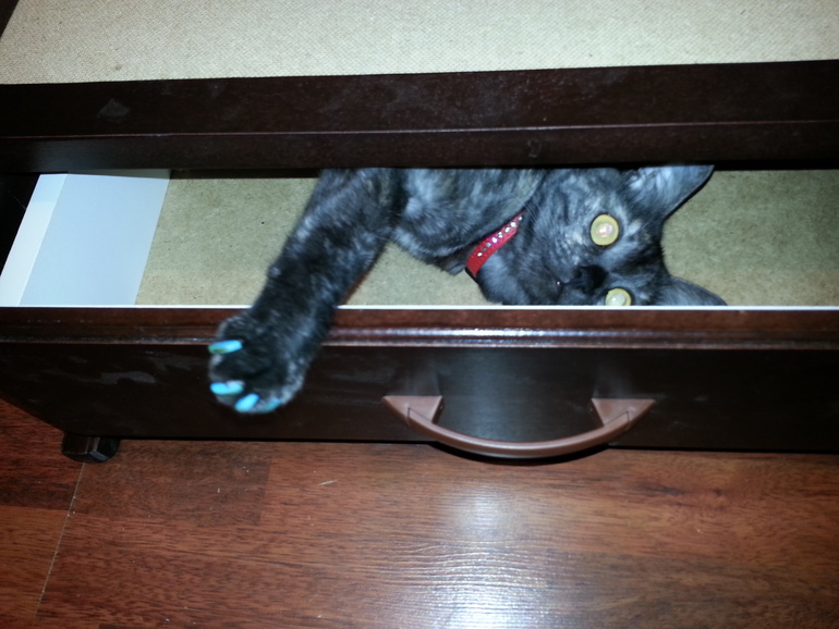 Моя девочка!!!!!