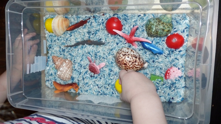 ТН Море и его обитатели. День 1