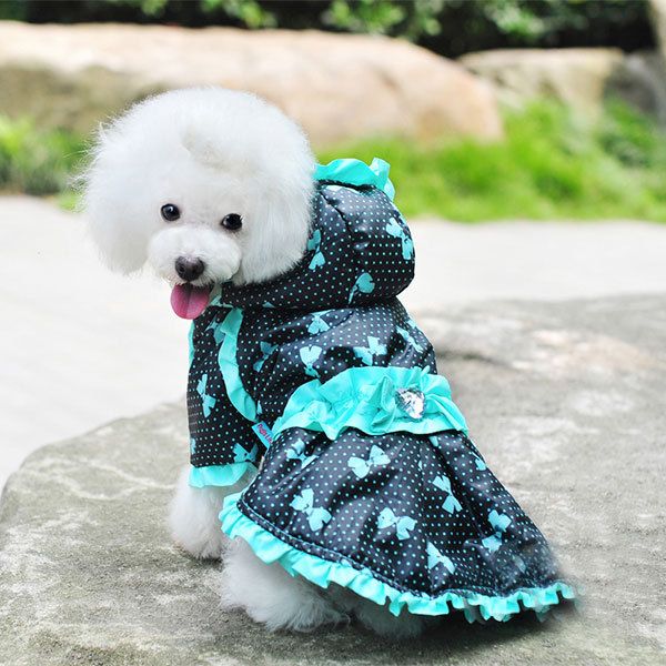 Теплая одежда для собачек