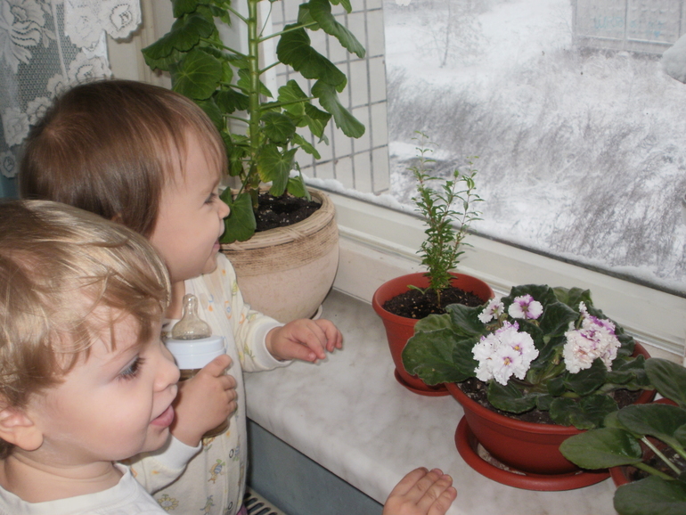 А у нас снегопад! А у Вас?