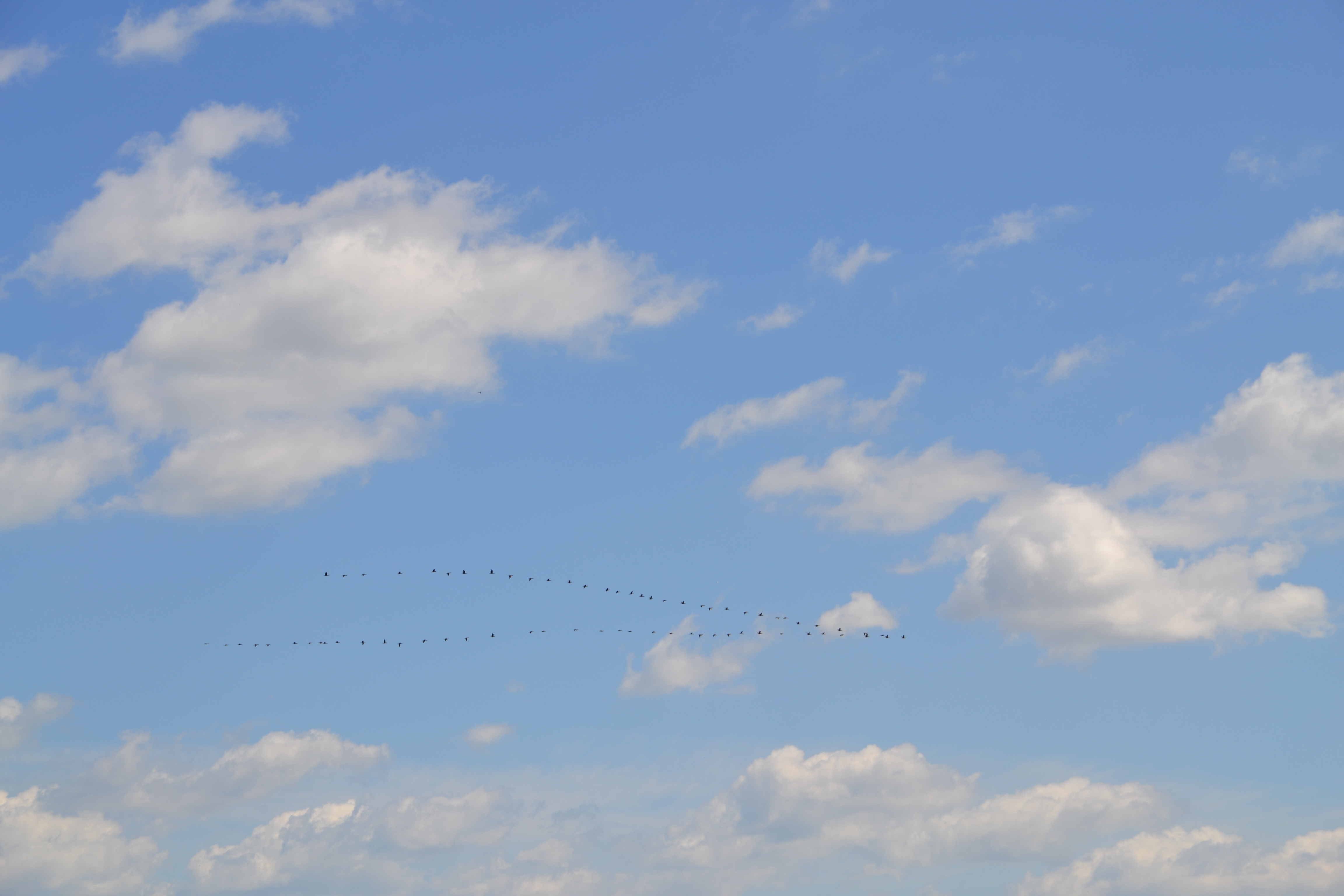 Ближе к природе