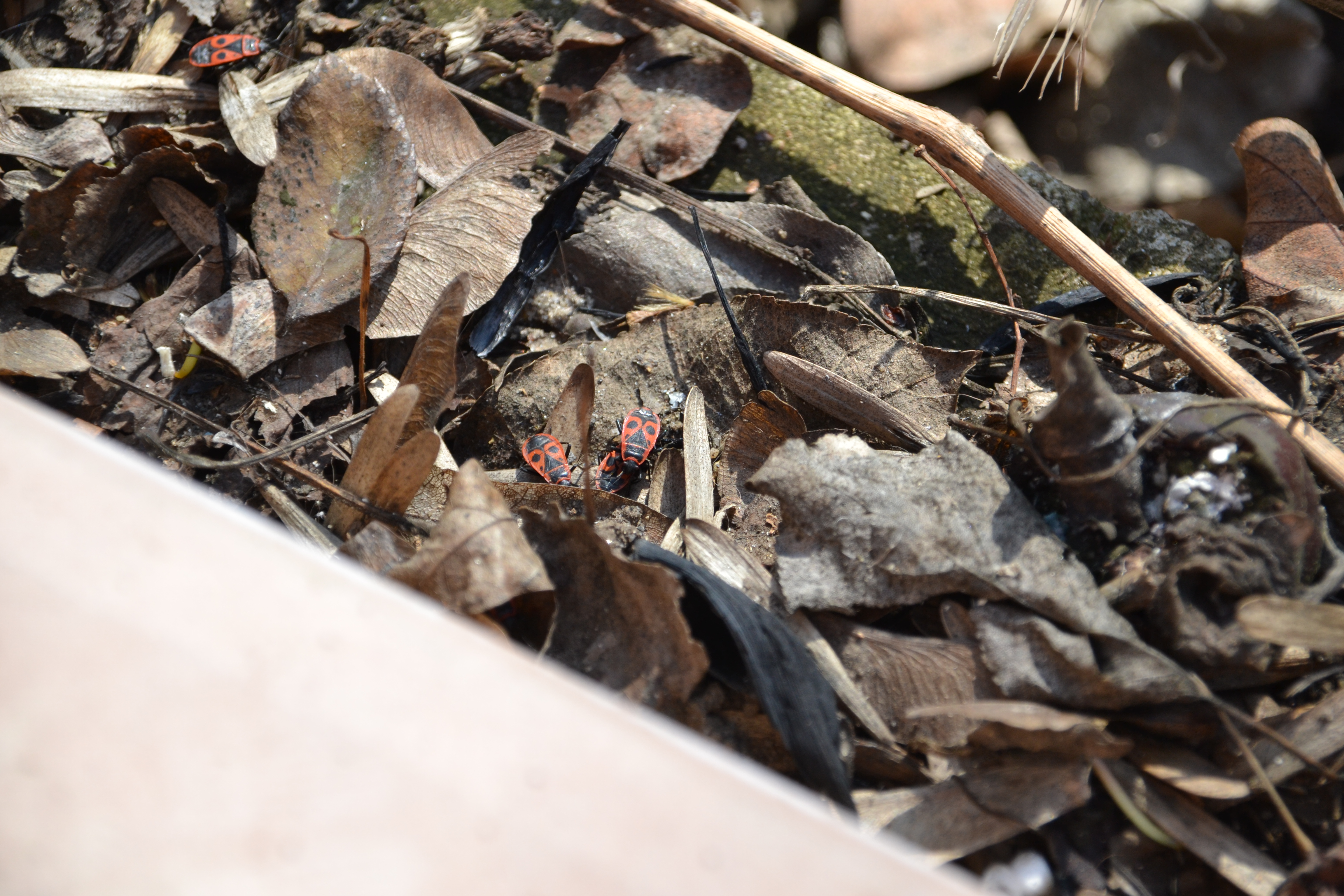 Ближе к природе