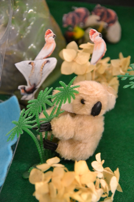 ТН Австралия