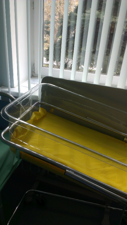 Роддом одинцово