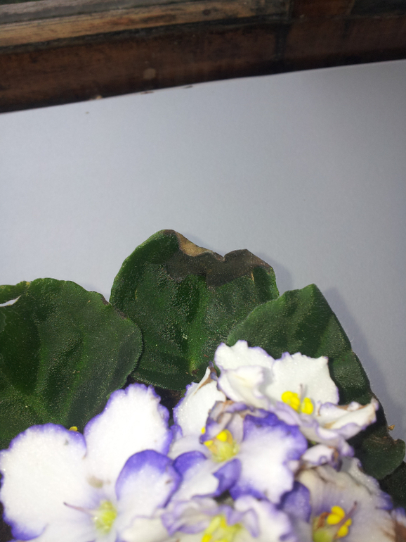 Помогите начинающей