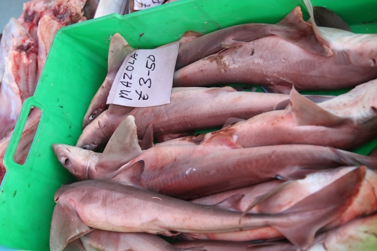 рыбный рынок)