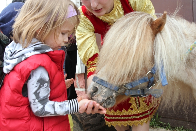 День Рождения Сашульки