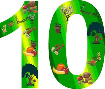 30 дней вокруг света – Глава 22 - Обратный отсчет