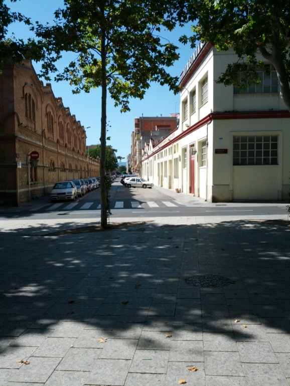 Салоу, Таррагона, Реус