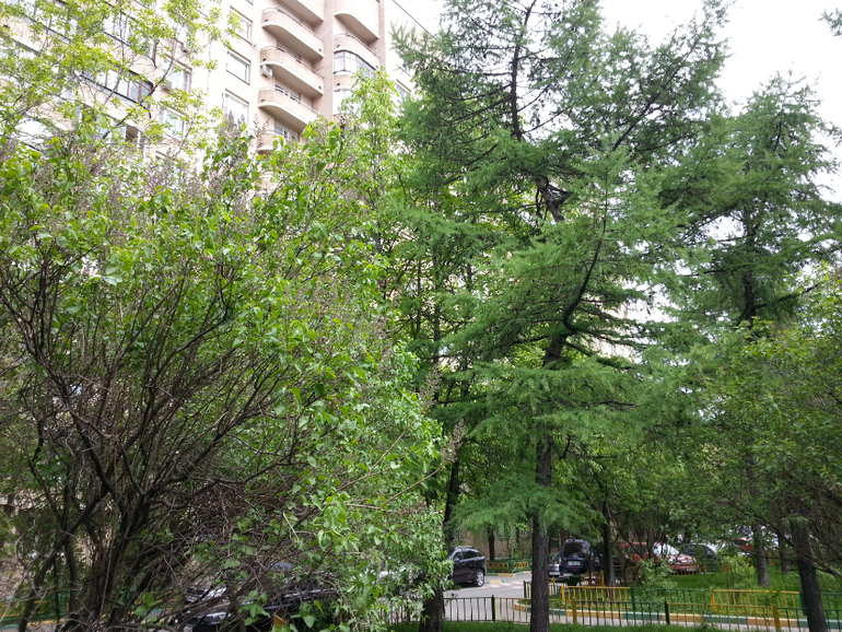 фотоотчет о встрече )