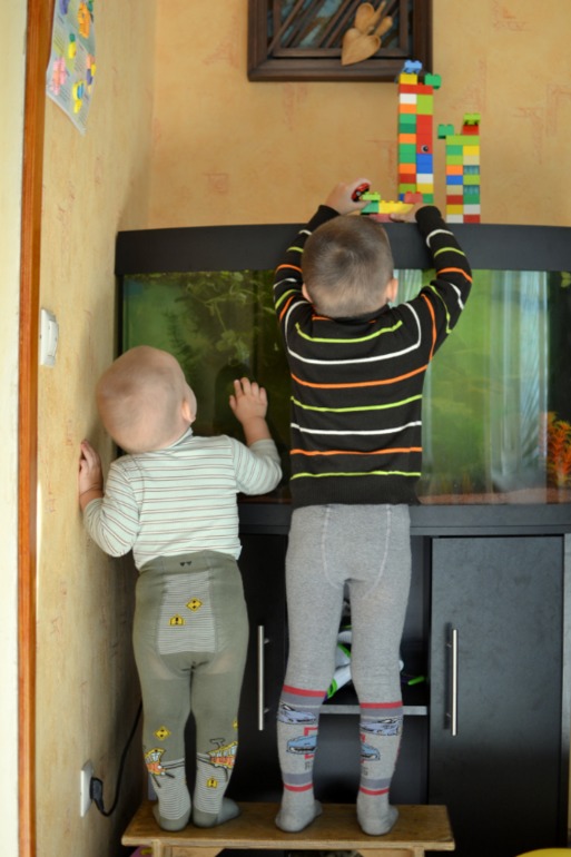 1 год 7 месяцев