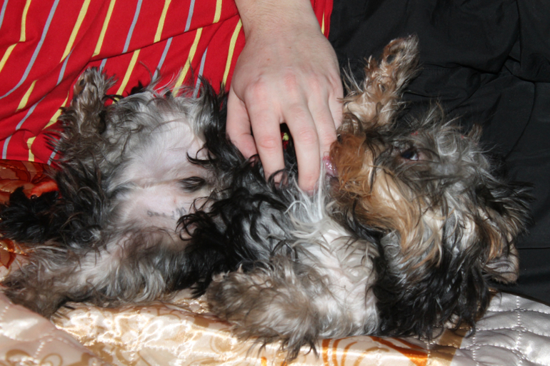 Привет от Зефирки