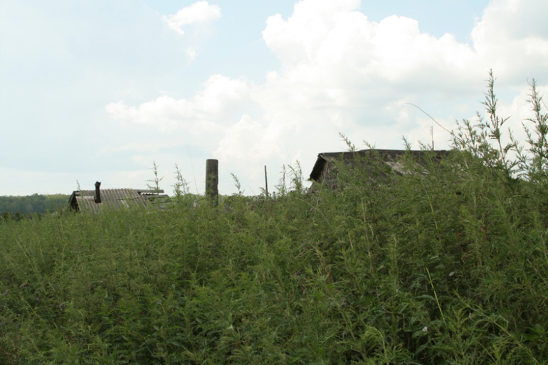 Дернова. останки...