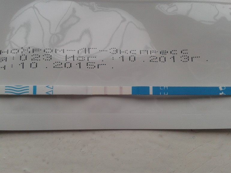 я уже начинаю паниковать! хэлп ми!