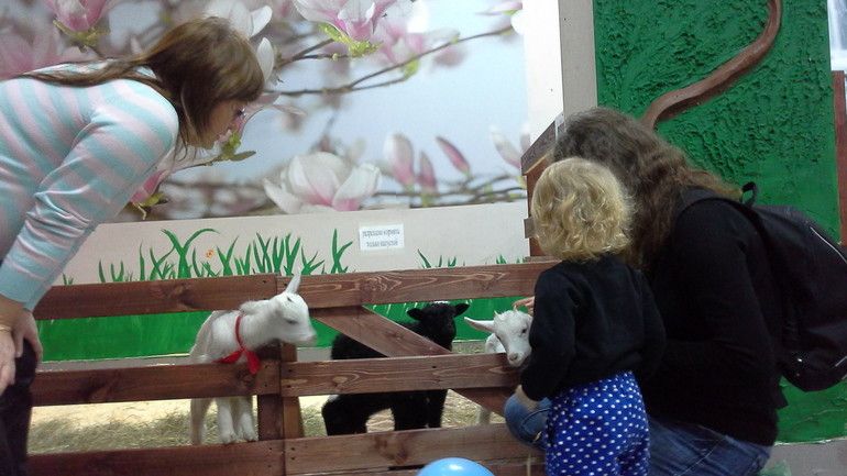 Про Любин ДР