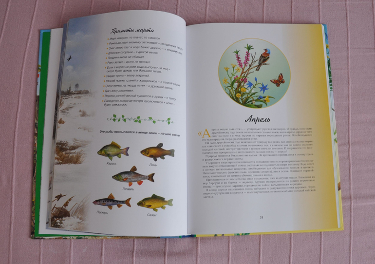 Весенние книги и произведения, 2 - 3 года