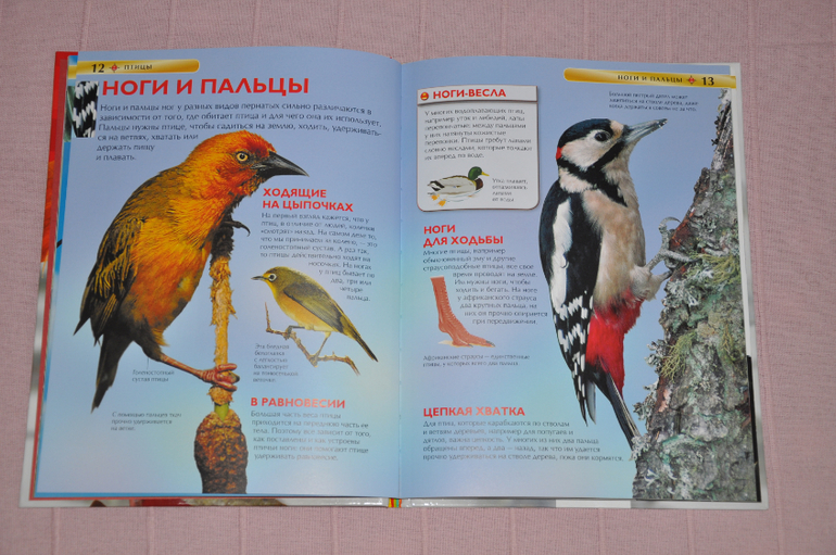 Весенние книги и произведения, 2 - 3 года