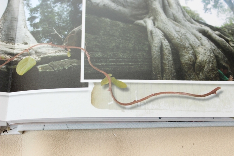 Путешествие в Тайланд