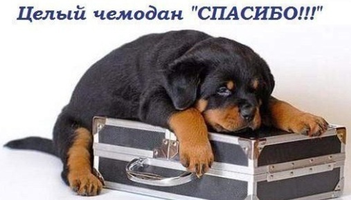 Красота НЕ требует жертв :-)))