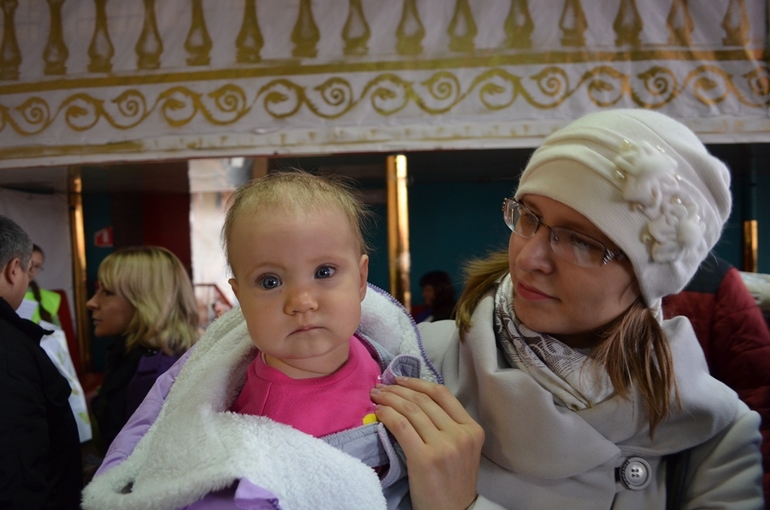 Выставка кошек