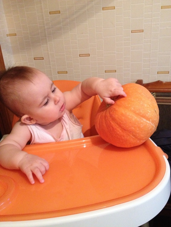 11 месяцев!!!