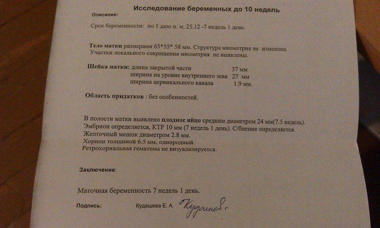 Нас нашли! Мы счатливы!