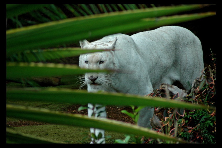 У природы кончились краски.