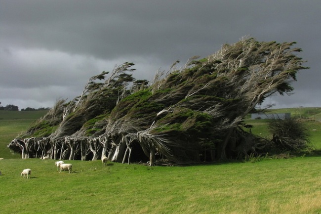 Кадры, заставляющие улыбнуться или задуматься.