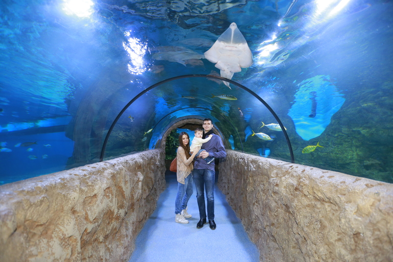 Океанариум