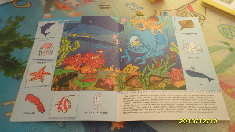 ТН МОРЕ ДЕНЬ 5