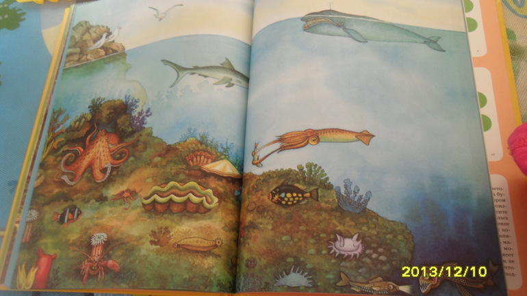 ТН МОРЕ ДЕНЬ 5