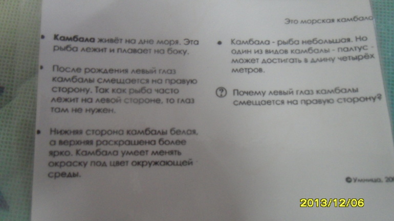 ТН МОРЕ ДЕНЬ 2