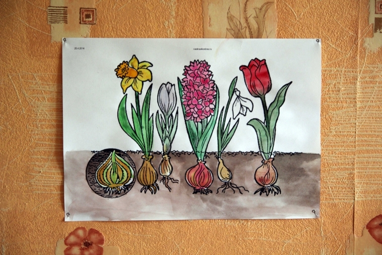 Вот и прошла весна... Наша ВЕСНА 2014