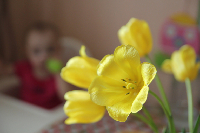 Тематические занятия ЦВЕТЫ, часть 1, вводная)))
