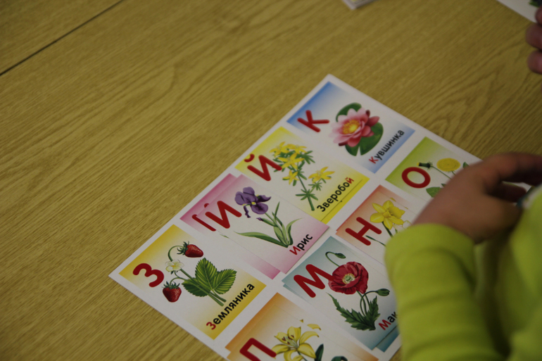 Тематические занятия ЦВЕТЫ, часть 1, вводная)))