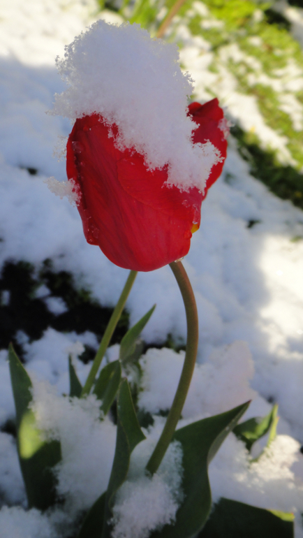 лето в Сибири